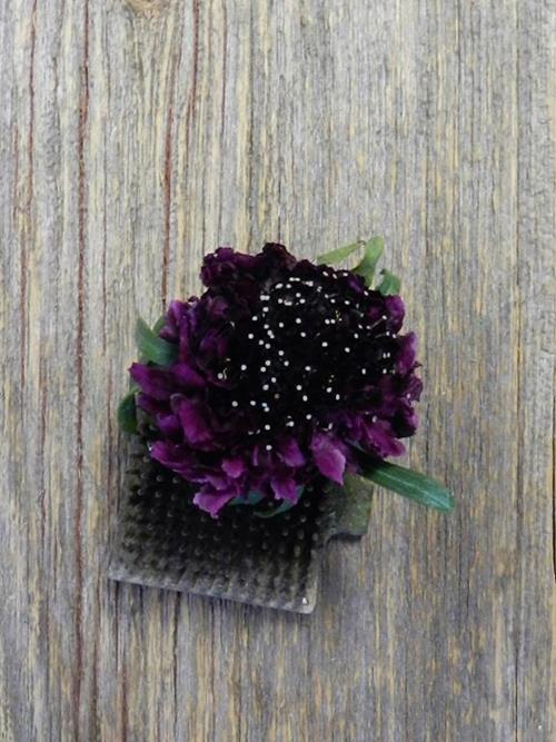 SCOOP RED VELVET BURGUNDY SCABIOSA